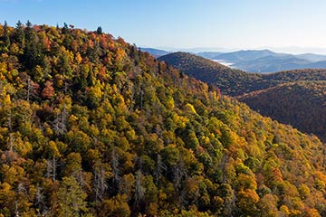 Georgia Trail Finder